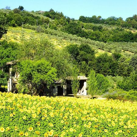 Appartamenti Verde Collina Umbra بيفانيا المظهر الخارجي الصورة