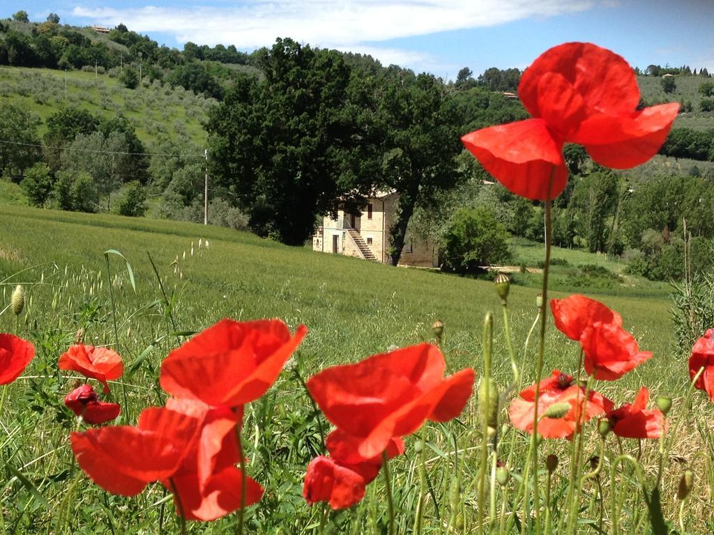 Appartamenti Verde Collina Umbra بيفانيا المظهر الخارجي الصورة