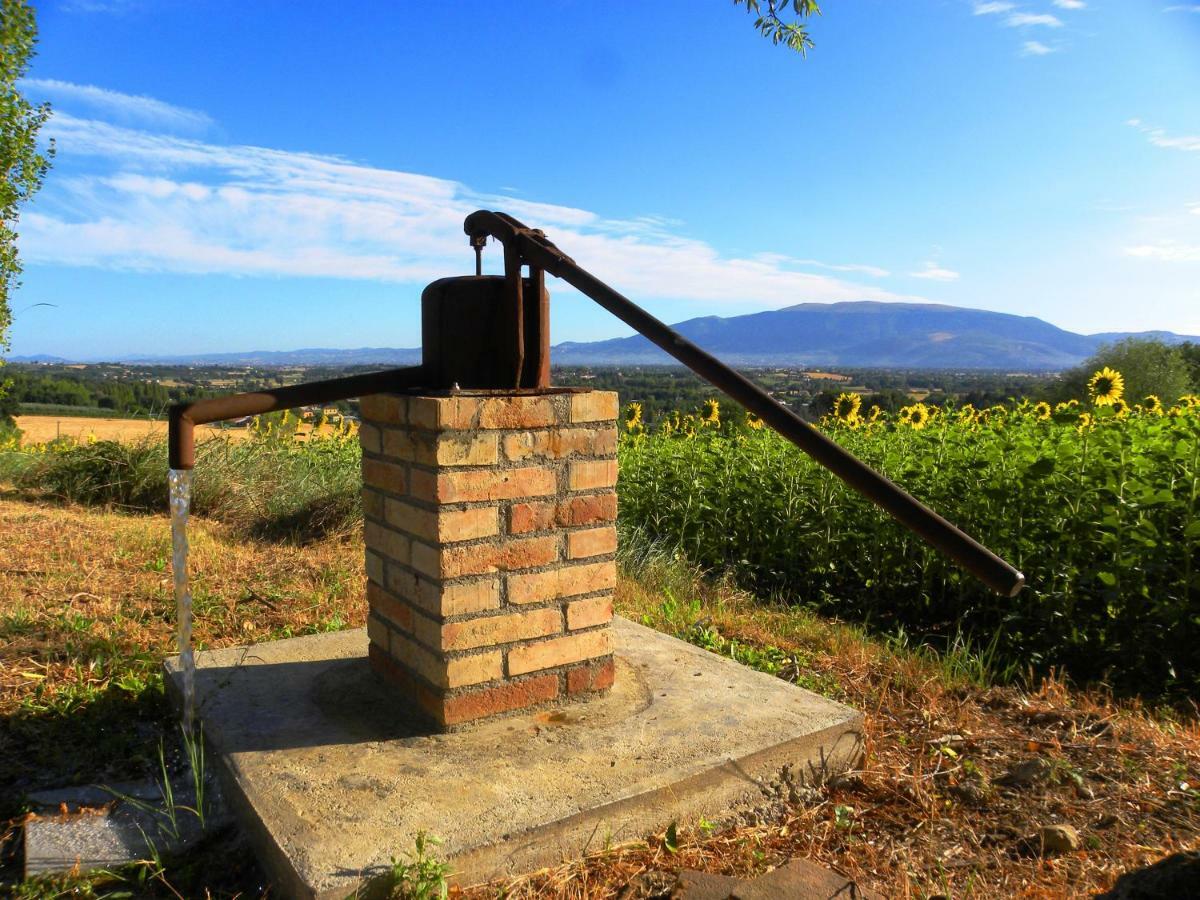 Appartamenti Verde Collina Umbra بيفانيا المظهر الخارجي الصورة