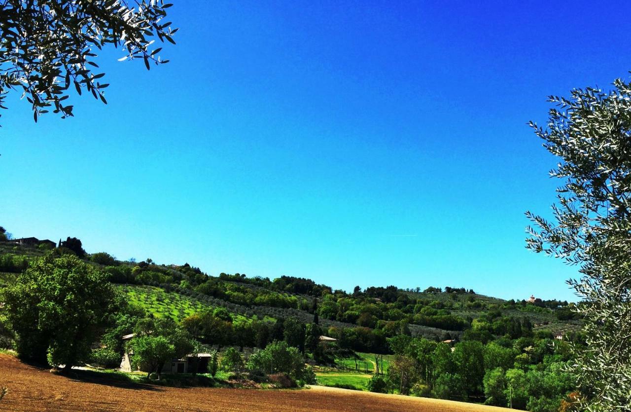 Appartamenti Verde Collina Umbra بيفانيا المظهر الخارجي الصورة