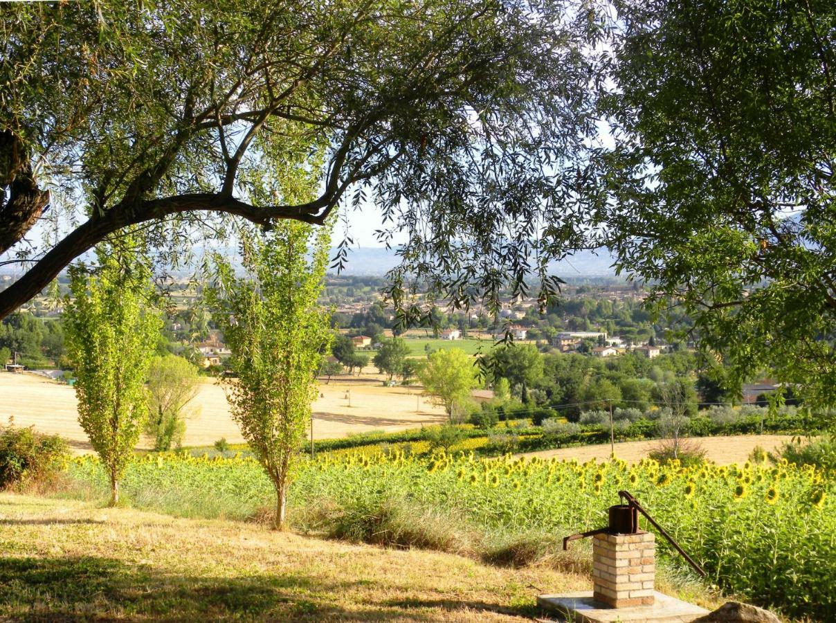 Appartamenti Verde Collina Umbra بيفانيا المظهر الخارجي الصورة